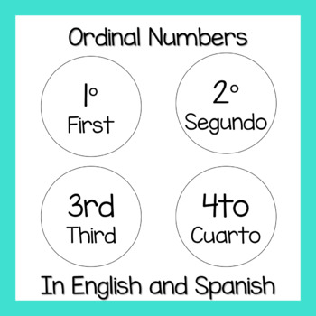 ordinal numbers 1st to 10th flashcards teaching resources tpt