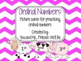 Ordinal Numbers - Picture Cards