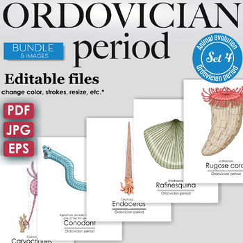 Preview of Ordovician Period Colorful Bundle: Rugose coral, Brachiopod, Cephalopod, Cystoid