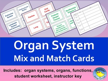 Preview of Organ System Mix and Match Cards for Anatomy & Physiology