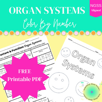 Preview of Organ Systems Color by Number