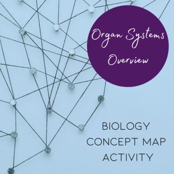 Preview of Organ Systems Overview – Biology Concept Map Activity
