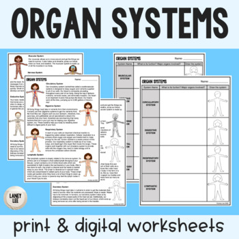 Preview of Organ Systems - Reading Comprehension Worksheets