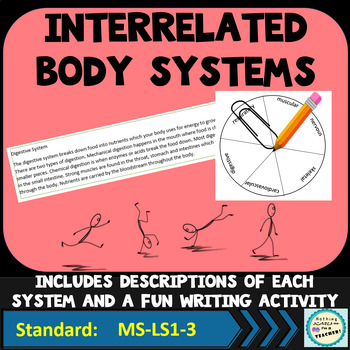 Preview of Organ Systems Worksheet Human Body Interactions Writing Activity
