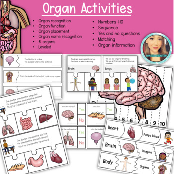 Preview of Organ Task Cards