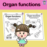 Organ functions.