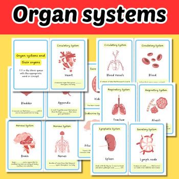 Preview of Organ Systems and their Organs