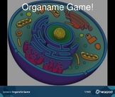Organame Game