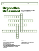 Organelle Crossword
