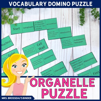 Preview of Organelle Domino Puzzle - Plant and Animal Cells