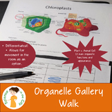 Cell Organelle Activity: Gallery Walk