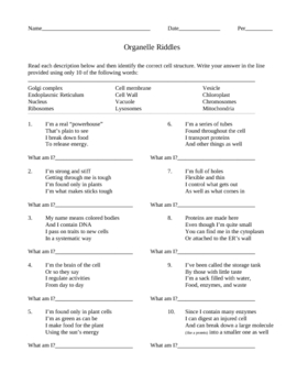 Preview of Organelle Riddles Worksheet with Key