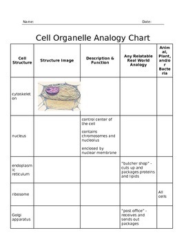 Preview of Organelle and Cell Structure Analogy Chart