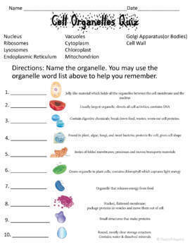 Organelles Activity by HappyEdugator | Teachers Pay Teachers