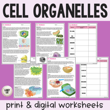 Preview of Organelles - Reading Comprehension Worksheets