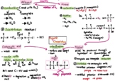 Organic Chemistry Reactions (IGCSE) MindMap