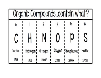 Preview of Organic Compounds Foldable