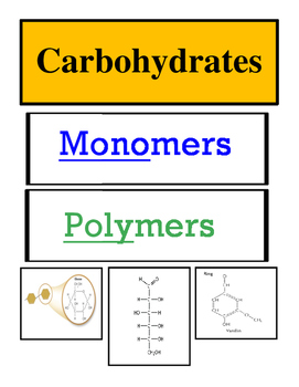 carbohydrates monomer