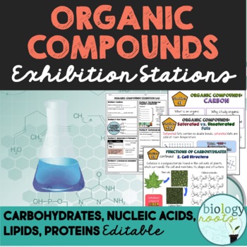 Organic Compounds Exhibition Station Task Cards- Macromolecules