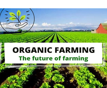 Preview of Organic Farming Research Project