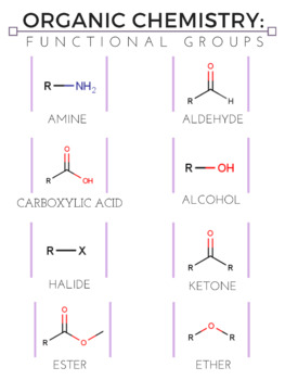 Preview of Organic Functional Groups