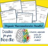 Organic Macromolecule Doodle Notes Bundle