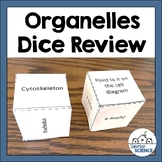 Cell Organelles Review Activity - Cell Organelle Review Ga