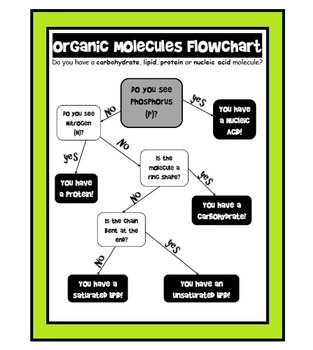 macromolecules flowchart