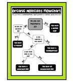 Organic Macromolecule Flowchart