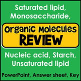 Organic Macromolecule Review