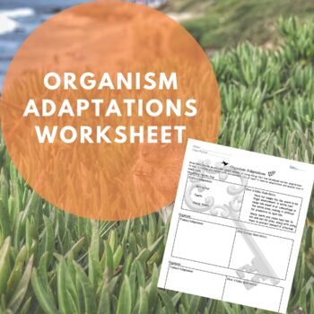 Preview of Organism Adaptations Worksheet | Ecology | Environment | Ecosystem