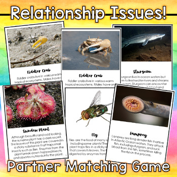 Preview of Organism Relationships Game: Symbiosis, Competition, Predator-Prey, Parasitism