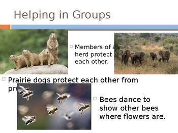 Organisms Interact with Each Other PPT by Teaching Gracefully | TPT