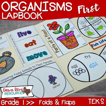 Preview of Organisms Lapbook (Plants and Animals)- First Grade {TEKS}
