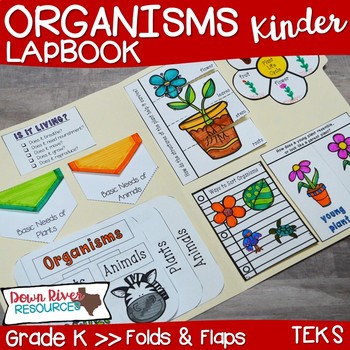 Preview of Organisms Lapbook (Plants and Animals)- Kindergarten {TEKS}