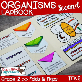 Preview of Organisms Lapbook (Plants and Animals)- Second Grade {TEKS}
