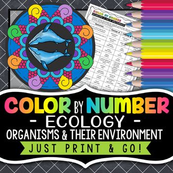 Preview of Organisms & Their Environment Color by Number - Ecology Color by Number