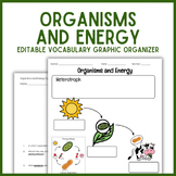 Organisms and Energy Cycle Vocabulary Graphic Organizer | 