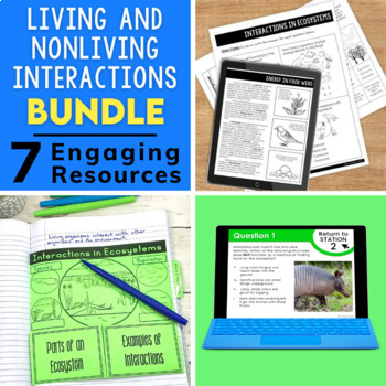 Preview of Interactions in Ecosystems - Living and Nonliving Notes Activities Games BUNDLE