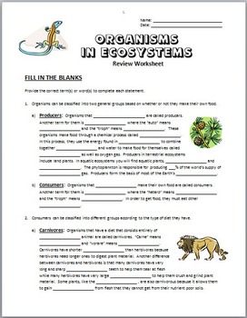34 What Is An Ecosystem Worksheet - support worksheet