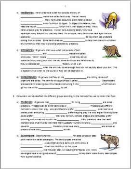 Organisms in Ecosystems - Review Worksheet Editable by Tangstar Science