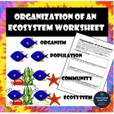 Organization Levels of an Ecosystem Worksheet and Activity