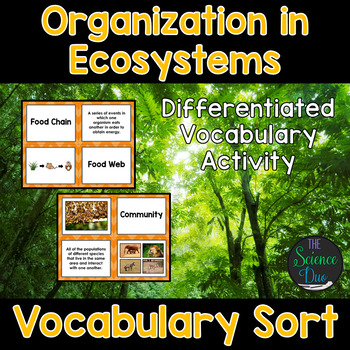 Organization in Ecosystems Vocabulary Sort by The Science Duo ...