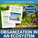 Organization in an Ecosystem Inquiry Labs