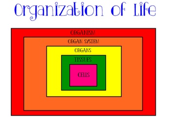 Preview of Organization of Life