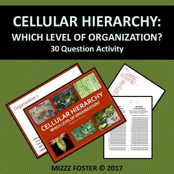 Preview of Cellular Hierarchy: Which level of organization of Life? (Printable & Digital)