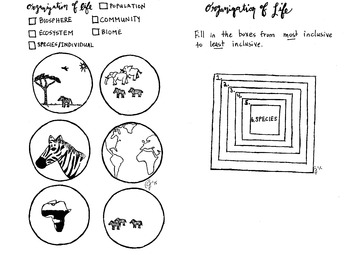 Preview of Organization of Life Coloring sheet population community ecosystem