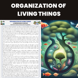 Organization of Living Things | Biology Concepts | Introdu