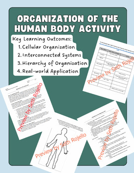 Preview of Organization of the Human Body Activity