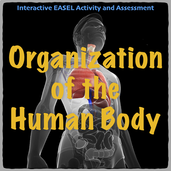 Preview of Organization of the Human Body Interactive Easel activity and assessment